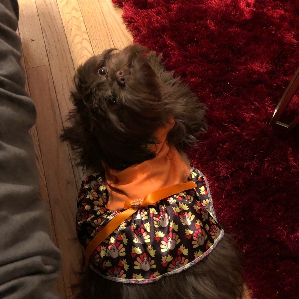 Meet your Posher, Chrissy